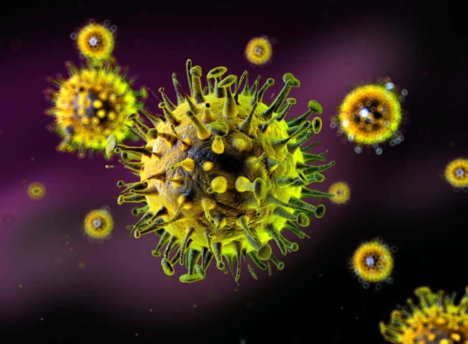 A close-up of a virus with its receptors highlighted, surrounded by other similar viruses in a laboratory setting